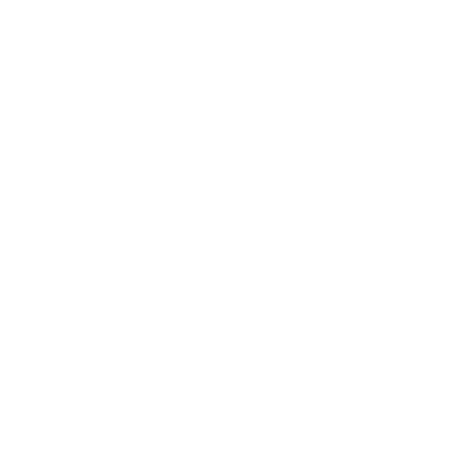 VK GLOBAL INC.